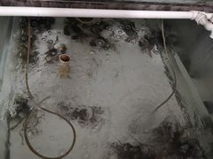 -芸海阁·农家私房菜(沙家浜景区出口店)