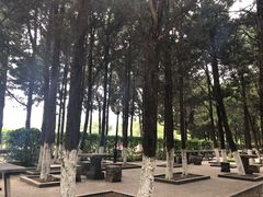 -白马涧龙池景区