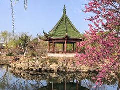 -无锡蠡湖国家湿地公园-蠡园