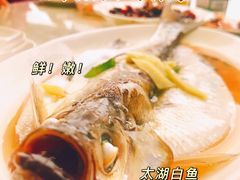 太湖白鱼-湖山人家·湖景餐厅·特色农家菜(太湖西山店)