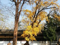 -苏州文庙(姑苏区)