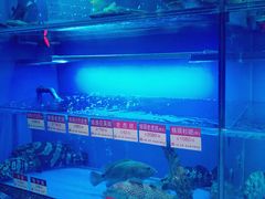 -协成海鲜火锅(海洋花园店)