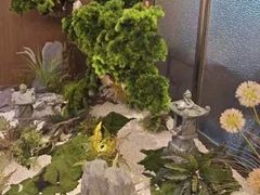 -同庆楼(天鹅酒家店)