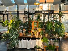 -北马山庄植趣咖啡