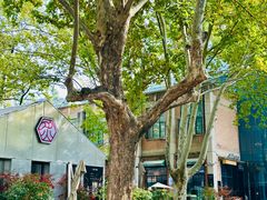 -西安电影制片厂