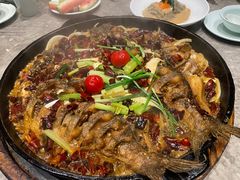 -老板恋上鱼(恒隆广场店)