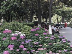 -常州古运河南大街文化旅游区-人民公园