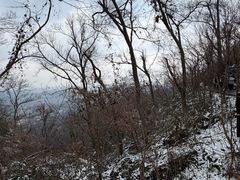 -紫金山山顶公园