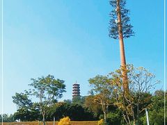 -红花山公园