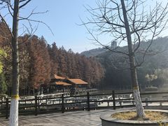 -采石矶景区