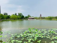 -西海子公园