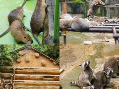 -杭州野生动物世界