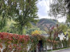 -百里山水画廊