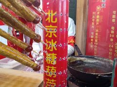 -和禄德冰糖葫芦
