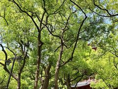 -城隍阁