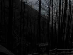 android_upload_pic-藏龙百瀑风景区