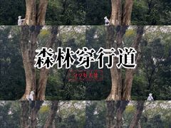 -广西壮族自治区药用植物园