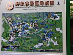 -野象谷景区