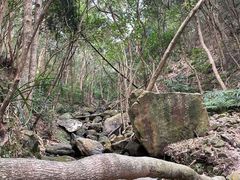 -梧桐山风景名胜区