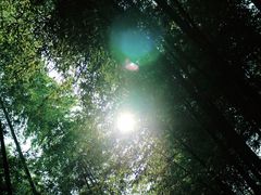 -径山寺