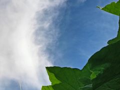 -众神白水涧景区