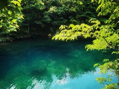 -石台牯牛降景区