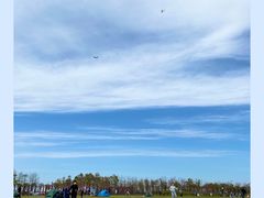 -春花秋色城市公园