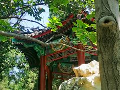 -宣武艺园