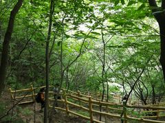 -十渡东湖港风景区