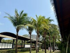 -亚龙湾国际玫瑰谷