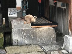 -Hōzen-ji Temple法善寺