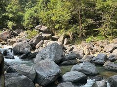 -石台牯牛降景区