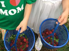 -塘栖枇杷特色园区