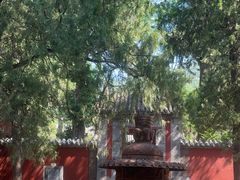 -泰山风景名胜区-普照寺