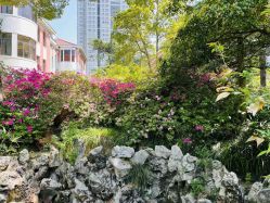 -杰爱月子护理中心