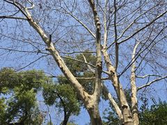 -湖南省立第一师范学校旧址