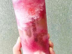 葡萄优多-书亦烧仙草(北大街店)