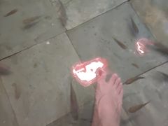 -河源客天下-温泉小镇