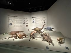 -自贡恐龙博物馆