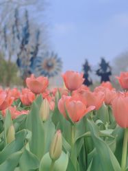 -玄武湖景区-情侣园游乐场