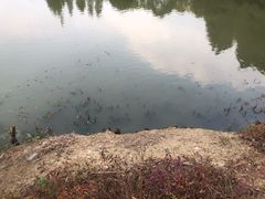 -尚贤河湿地