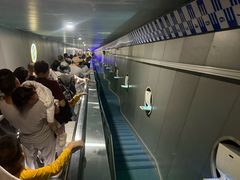 -白鹤梁水下博物馆