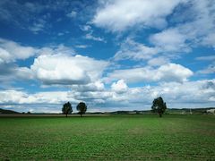 -塞罕坝国家级自然保护区