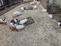 -秦皇岛新澳海底世界
