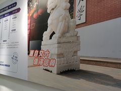 -斯坦星球AI编程·机器人科创·科学实验·信奥·思维·STEM·积木拼搭·竞赛考级(浦东联洋广场大拇指龙阳御桥中心)