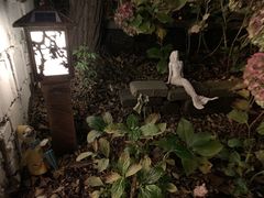 -风车面包