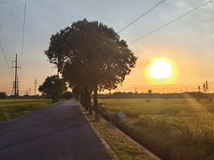 -嘉北郊野公园