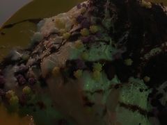 -冰冰酱老味刨冰绵绵冰(中山路总店)