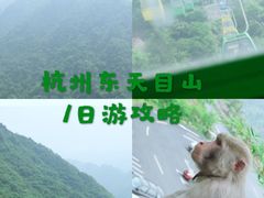 -东天目山风景区