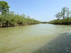 -泗洪洪泽湖湿地景区